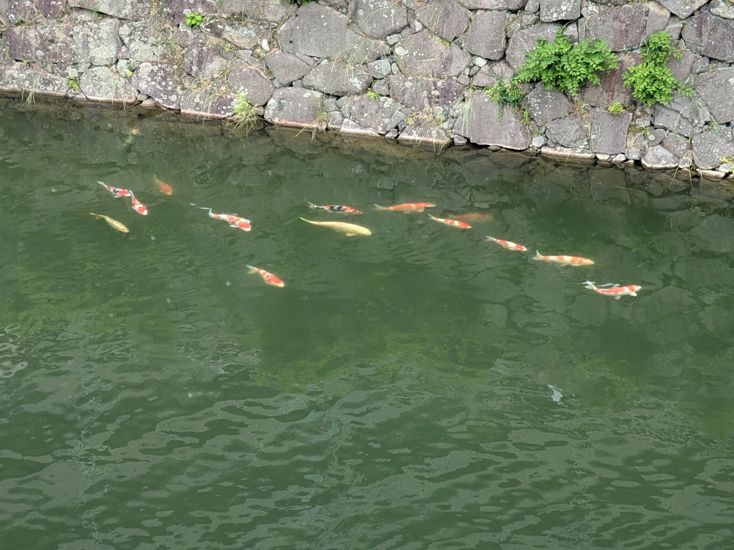 IMAGE: 広島旅行に行ってきた in 2025