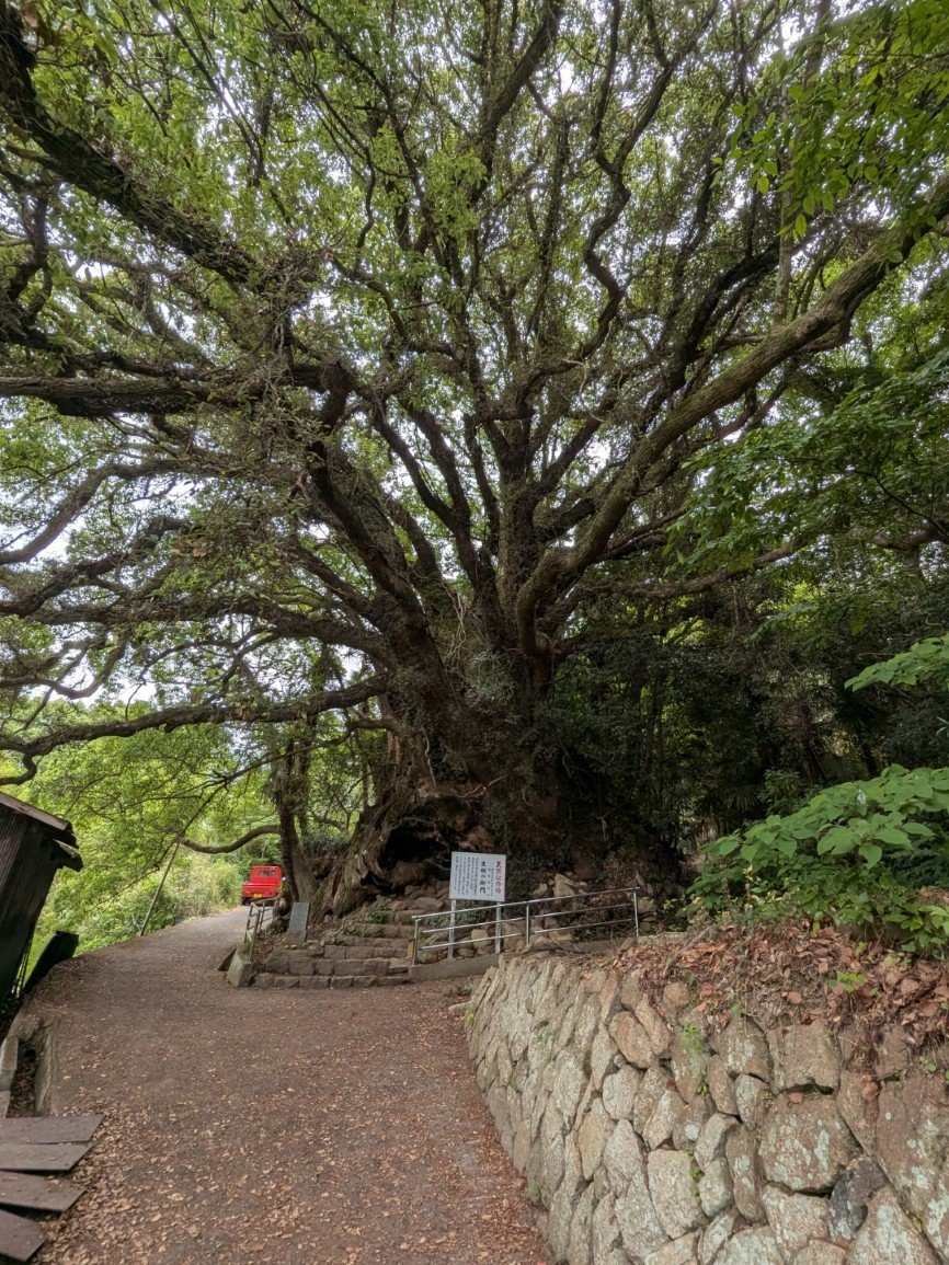 IMAGE: 広島旅行に行ってきた in 2025